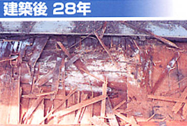 ���z��Q�W�N