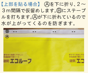 �G�R���[�tII�@�{�H���@