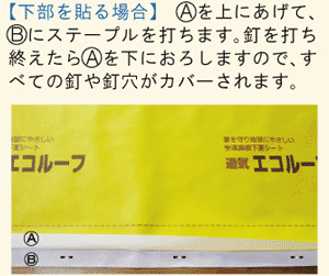 �G�R���[�tII�@�{�H���@